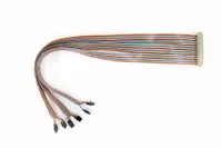 PTC064-2xx20-1x24SOIC Cable Assembly